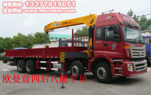 12噸歐曼隨車(chē)起重運(yùn)輸車(chē)圖片